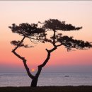이산사 이미지