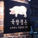 (주)육팔 | [제주도맛집] 제주공항 근처 흑돼지 맛집! 육팔청춘 다녀오다