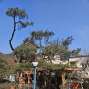 워커힐카페 | 구리 카페 마당 / 워커힐 근처 카페