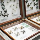 봉무공원 주차장 이미지