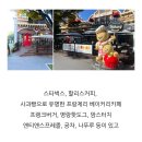 놀이기구 종류/이월드음식/놀이 기구 키 제한(운휴날짜를 모르겠어요 알려주실분) 이미지