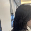 보그헤어 이미지