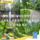 수옥정 | 충북 괴산 - 아이와 함께한 괴산 수옥폭포 여름 피서, 수옥정 풍경과 산책길 후기