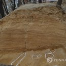 청주 당산토성 이미지