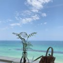 영춘당한의원 이미지