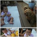 예나농장 이미지