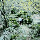 흰바위2천 이미지