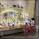 동경메디칼(주) | [국립대구과학관] 대구 비오는날 아이와 실내 가볼만한 곳 새로운 전시가 이뤄지는 곳
