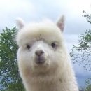 702044 이미지