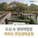 도심 속 생태체험장, 여의도 샛강생태공원의 세 가지 매력