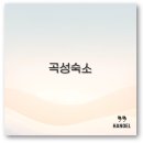 대둔산 강변가든 민박 | 전남 곡성 기차마을 숙소부터 가성비 예약까지 완벽 정리