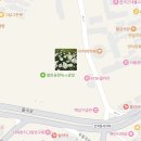 다시안국