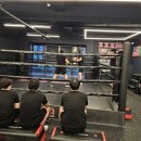 XXX BOXING 이미지