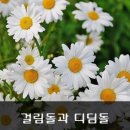 11월7일(목) 출석부/ 걸림돌과 디딤돌 이미지