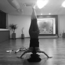 요가수업 이미지