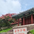약목평생학습복지센터 | 대구근교 가볼만한곳 칠곡 신유장군유적 풍성한 배롱나무명소