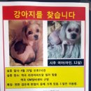 노엘동물병원 이미지