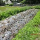 청하 당구장 이미지