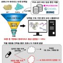 국내 연구진, 먹는 코로나19 치료제 후보 찾았다 이미지