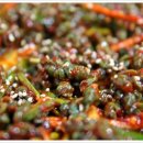 동강다슬기 이미지