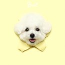 스튜디오 바나나