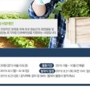 지원픽 이미지