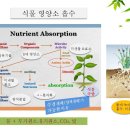 식물의 주된 영양소, 비료 Fertilizer의 이해와 관리법 이미지
