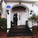 장꽁(카멜리아) 이미지