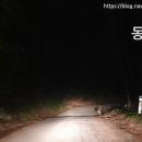 부연동가마소펜션 이미지