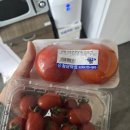 k팝스타 코인노래연습장(제주시청점) | [2026년 2월 4주차] 주간일기 주중편