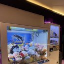 뽑기앤유 이미지