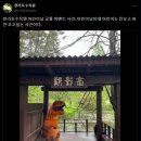 모항초등학교 | 천리포수목원에 오리 가족의 등장이라..? 충남 태안 천리포수목원 방문기 (특별출연 : 오리 가족)