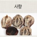 로뎀나무한의원 이미지