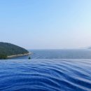 오션그린 이미지