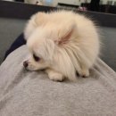 조GYM | [대전헬스] 둔산동헬스장 조GYM헬스PT 에서 PT받고 개인운동 꾸준히 다니고 있는 후기(서브웨이)