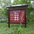 수로부인길 이미지