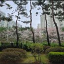 우림필유공인중개사사무소 | 아이 키우기 좋은 오창 우림필유2차 매매, 올수리된 귀한 1층 매물