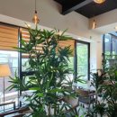 카페리코 이미지