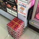 아빠정육점 | 청주 사천동정육점 가성비 좋은 재민아빠네참고깃간 후기