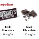 강앤정 동물병원 이미지