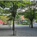 영월가자 펜션&캠핑장 이미지