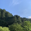 하늘켄넬 이미지