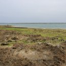 푸른 절경, 오키나와 본섬 일주기 맛보기 사진 이미지