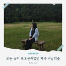 제주 비밀의숲 후기｜입장료 · 주차 정보부터 포토존까지