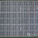 사랑 태양광발전소 이미지