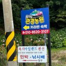 욕지도 관광농원 | 욕지도 오션뷰 펜션 욕지도관광농원 오션뷰카라반 해 방🌞