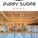 사랑애견샵 이미지