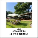 해맑은 태권도장 | Again 치앙마이 두달살기 주간기록 Week 3