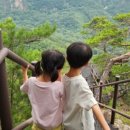 인제04-2 이미지