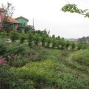 태안농장 이미지